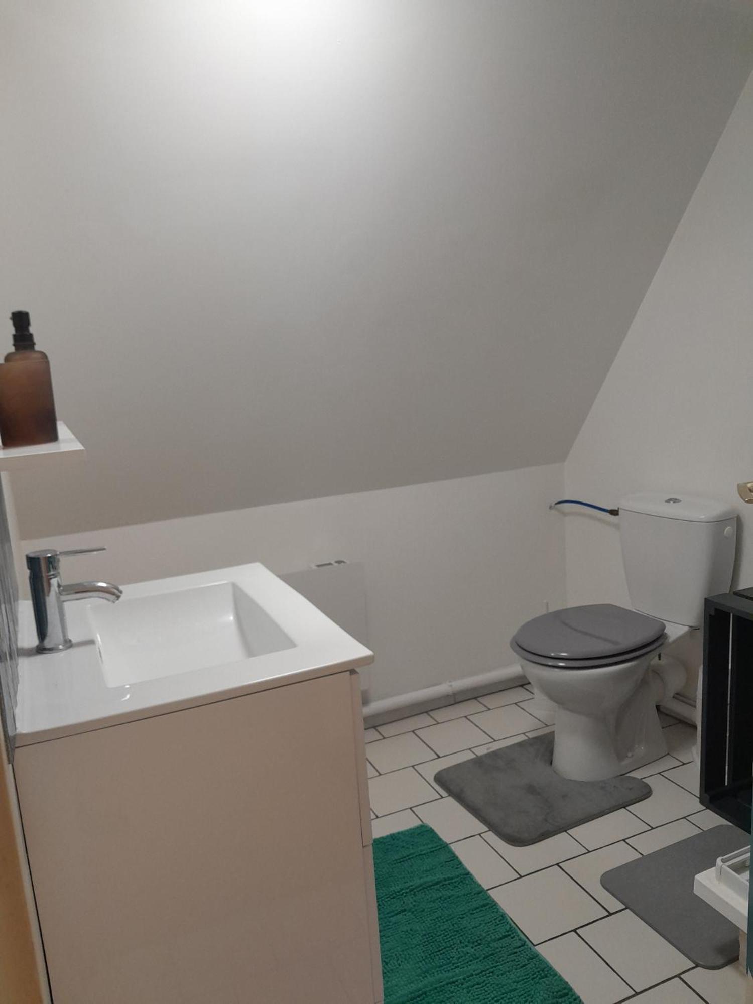 Duplex Charmant Au Coeur De Levroux Kültér fotó